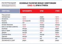 Профилактика гриппа, ОРВИ и коронавирусной инфекции COVID-2019
