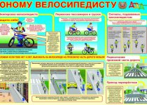 Дорожная безопасность - Правила дорожного движения